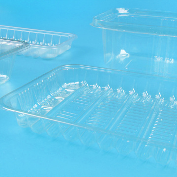 Transparent Plastic Food Tray Disposable