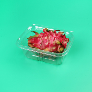 Disposable Fuirt and Vegetable Plastic Packaging Trays Customizable