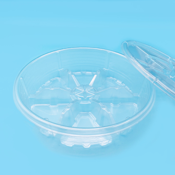 Clear Plastic Snack Tray Custom Vacuum Forming Products