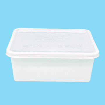 Medical-Grade Test Tube Plastic Box: Vacuum Formed PS Container with PET Lid